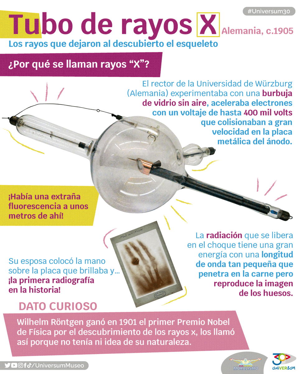UniversumMuseo's tweet photo. ¿Conocías este dato? 🧐
#ColecciónArte https://t.co/bq03aK9Bfn