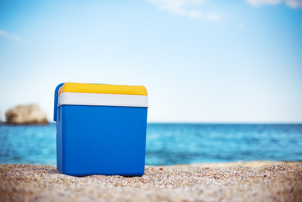 PoeCenter's tweet photo. Have you cleaned your cooler recently? Harmful bacteria can grow in coolers after use due to the moist environment. Make sure to clean your cooler regularly with soap and water, or disinfectant to keep your family safe! #PoeFit #PoeFitNutrition https://t.co/WnGw1ajHsq