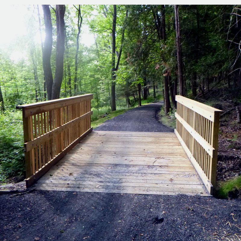 Progress along the trail in the U-32 Forest. Just finished details on the first of the (relatively) small wooden bridges needed. At least two more to go. This is an ongoing volunteer opportunity - first group day is Sat 7/9, or pitch in on your own time - call if interested!