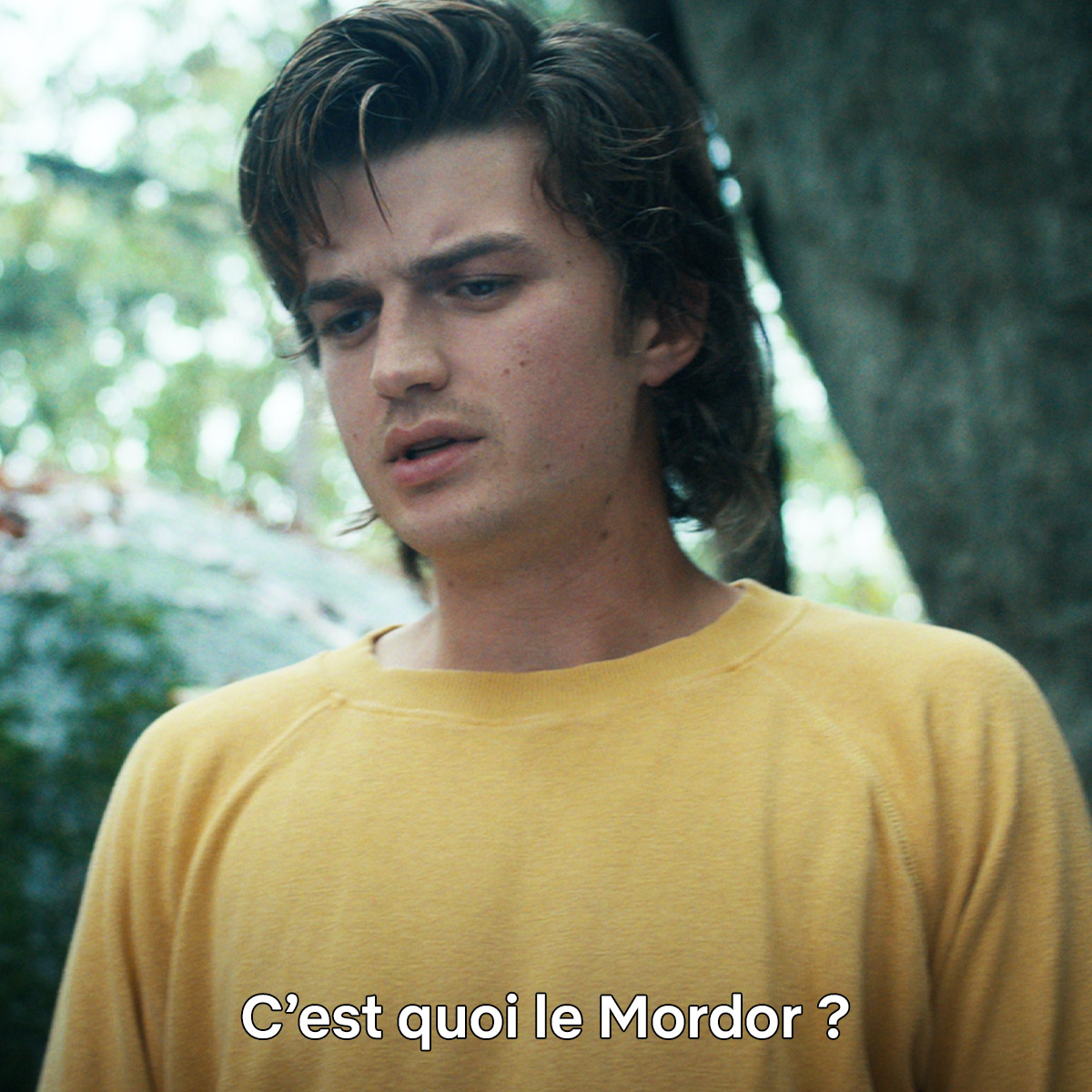 NetflixFR's tweet photo. Le Seigneur des Anneaux (2001) : Eddie est là pour apprendre les bonnes références à Steve. Vive le Mordor. https://t.co/1NUfPkjnVC