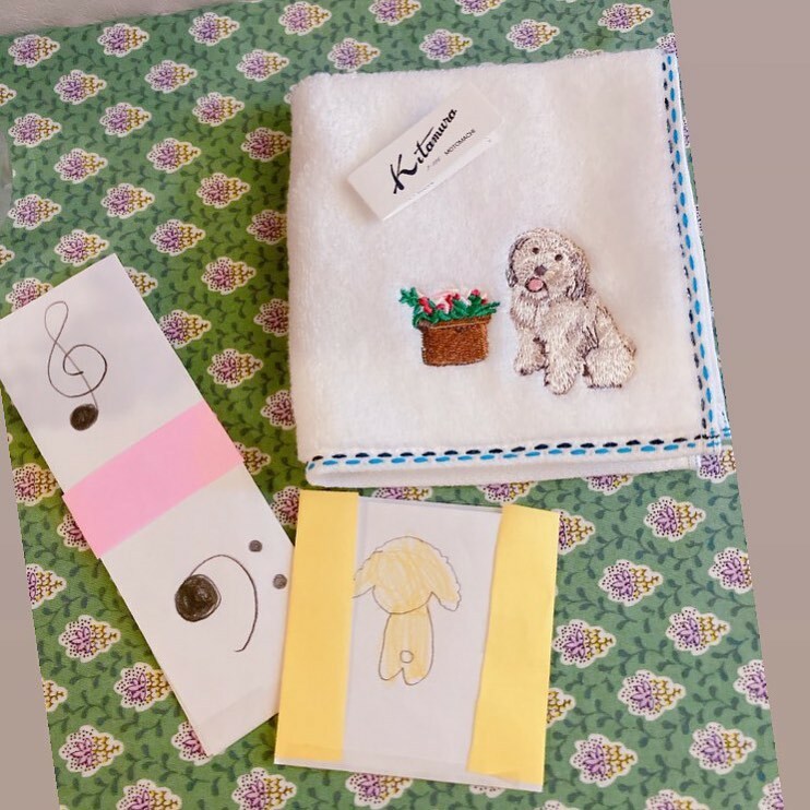 pocoapoco_piano's tweet image. 可愛いおみやげプレゼント💝
ありがとうございます🥰
ライナスくん🐶にそっくりだね💕ってママと一緒に選んでくれたそうです☺️
大切に使わせていただきます💓

#ありがとう
#いただきもの
#プレゼント
#おみやげ 
#わんこ
#トイプードル
#ピアノ教室
#ピアノレッスン
#kitamura