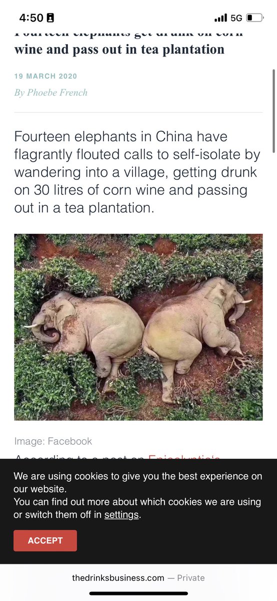 Prajval95's tweet photo. @waitbutwhy @Rainmaker1973 It definitely is😂🐘 https://t.co/9JKvBBFcyI