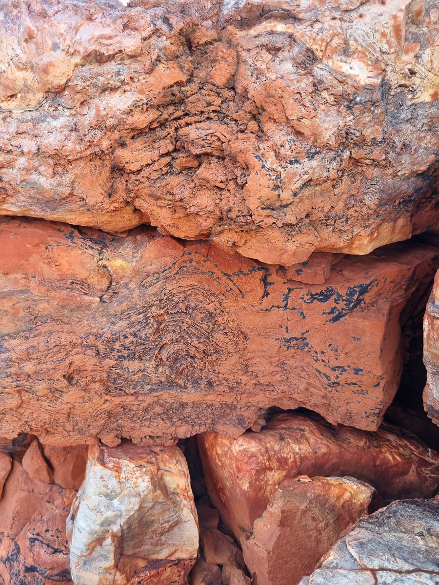 Dresser Formation 3.48 Ga stromatolites. Investigating depostitional environments of some of earliest land-based life. <a href="/EnvUoA/">School of Environment, The University of Auckland</a>