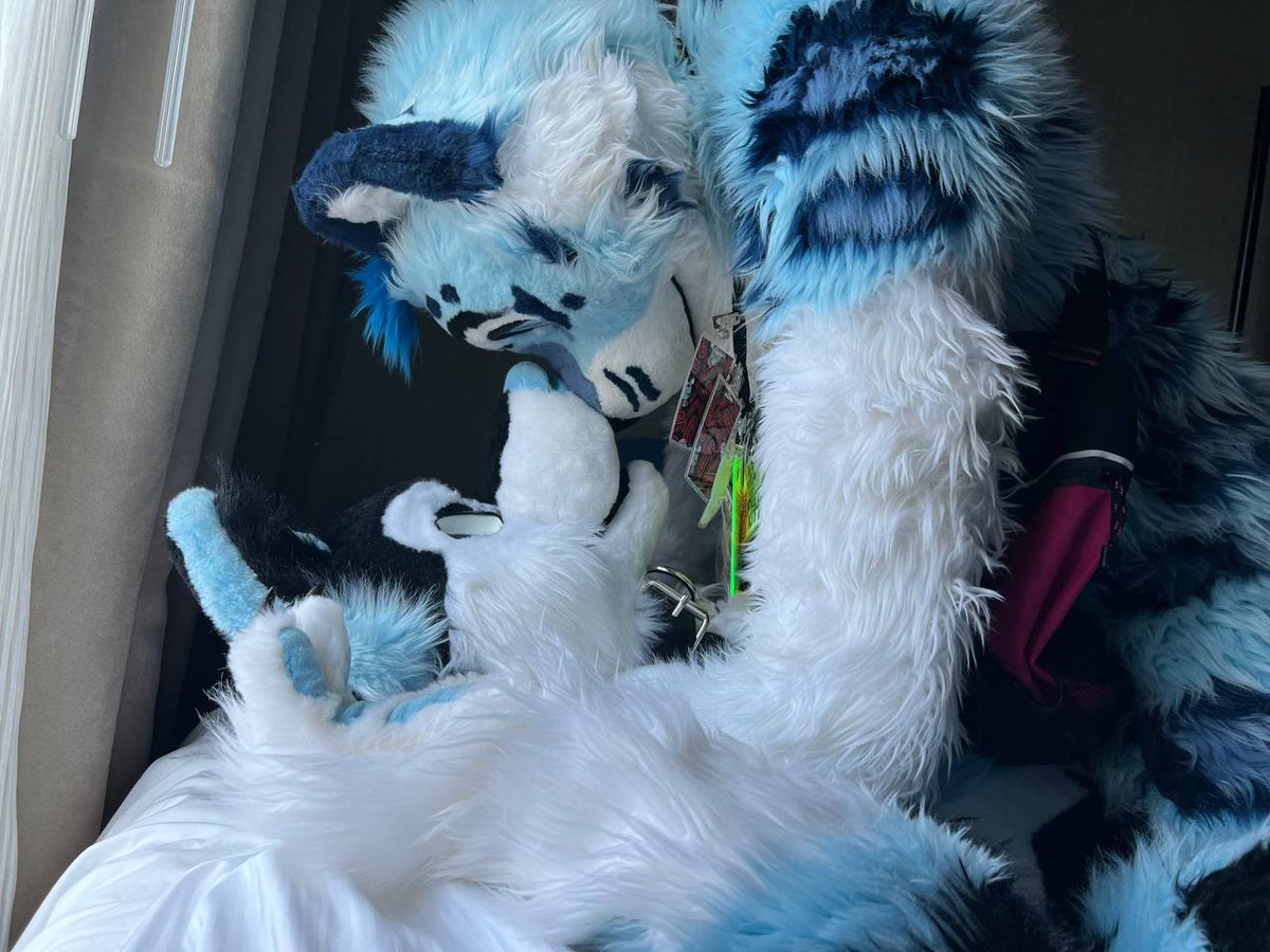 So I decided  to call my cat freind <a href="/BlazeNote7/">🎷🎶Blaze Note🎶🎷🔜🤷‍♂️</a>  a bottom...........

this was their reaction to me calling them that............. 

 now they want me to call them daddy...... 

I really need to learn not all cats are bottoms.

Pictures taken by @Atrayeus
#FursuitFriday