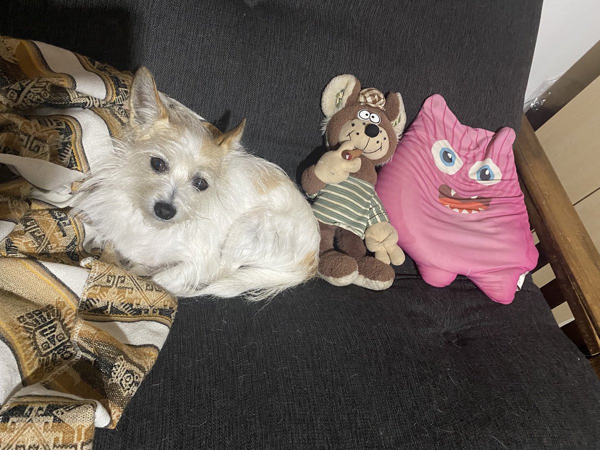 Aqui una esquizita que no quiere que le rompan las bolas 😂😂😂 <a href="/rock_pix/">El Gallo 🇦🇷⭐️⭐️⭐️</a>  #UnDinamoEsquizito