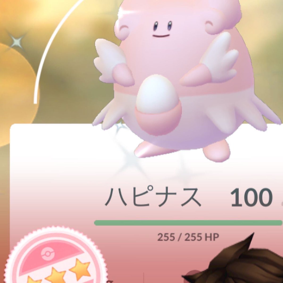 ポケモンgo ハピナスの色違い 入手方法と実装状況 攻略大百科
