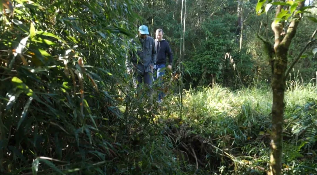 gabrielhamilko's tweet image. Peço licença para fazer propaganda do #plugrpc da semana. Um programa importante para documentar áreas que serão alagadas pela inundação da nova represa do Miringuava, em São José dos Pinhais. Além de agentes locais que fazem a diferença na região. Sábado, 14h10, depois do JH