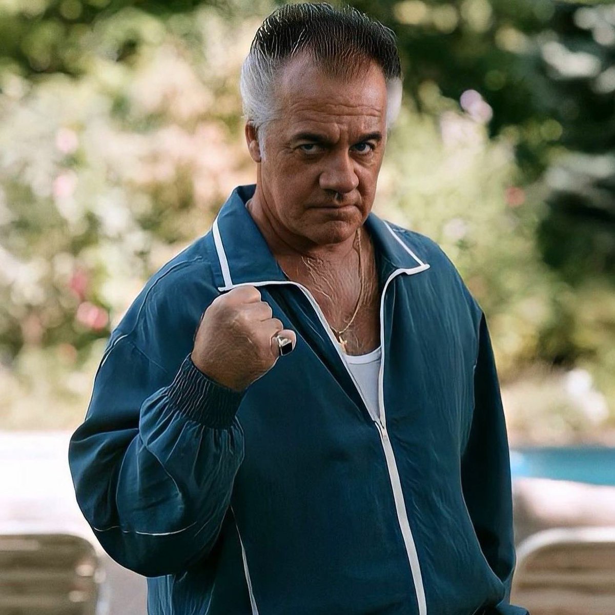 I can't imagine the Sopranos without Paulie Walnuts. I can't