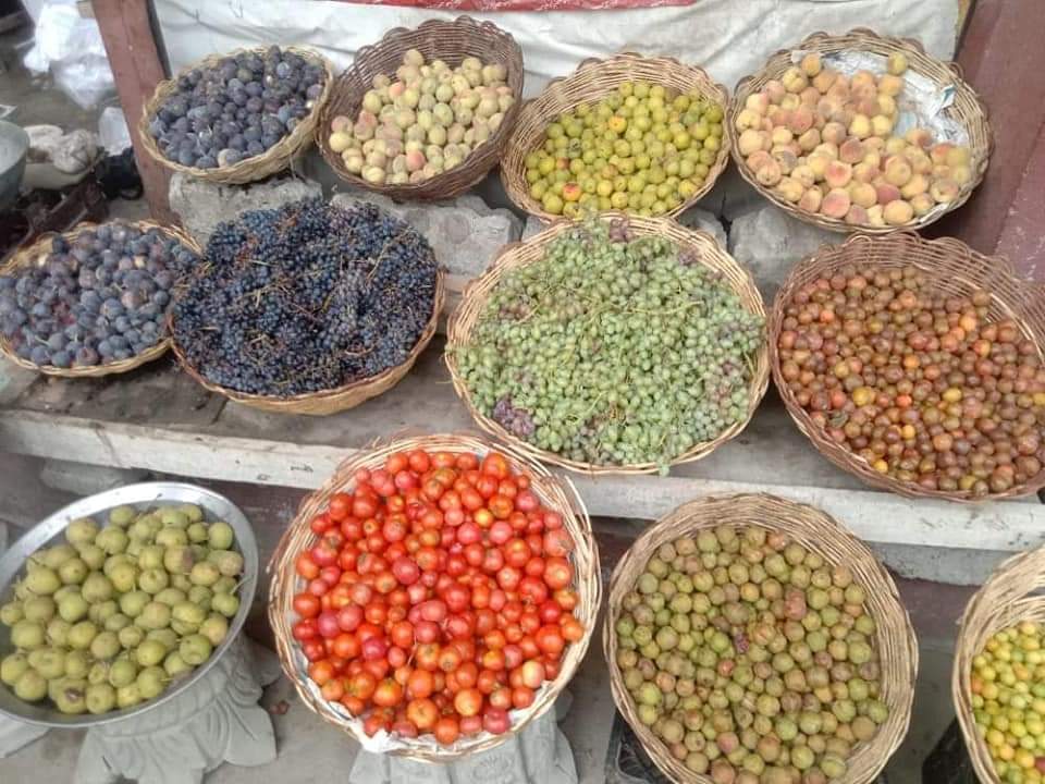 Gwadar_Pro's tweet photo. Fruits at #Darora Dir Upper #KP.
Credit: Mehran https://t.co/4Nqvbqbm5E