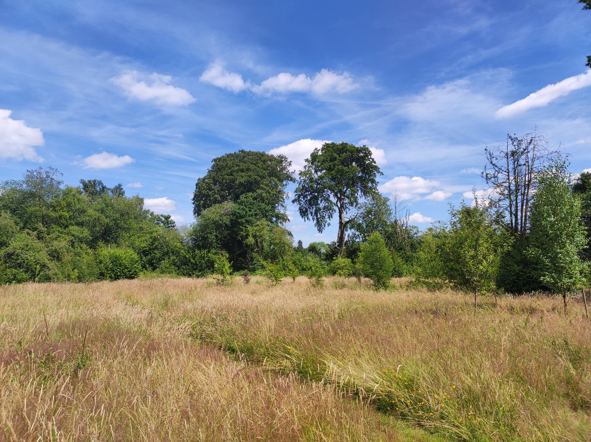 CJD_Funeral_Pro's tweet photo. Immediate action and change is essential to protect the environment. Whilst many funeral directors are trying to make a difference, we must all do more.  Our world needs it, let's make the change @nafd @NationalSAIF @agfd @funeralsupplier https://t.co/mLz24RxiBj