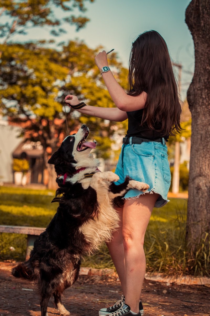 WalterLoyd5's tweet photo. Petting, scratching, and cuddling a dog could be as soothing to the mind and heart as deep meditation and almost as good for the soul as prayer.
#dog #love #playingwithdog #girlwithdog #nature https://t.co/mGWz1pECJM