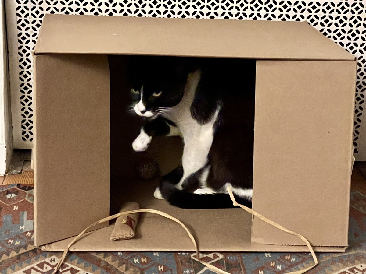 PalmerCatSF's tweet photo. I love my box! https://t.co/kEzsLWytDq