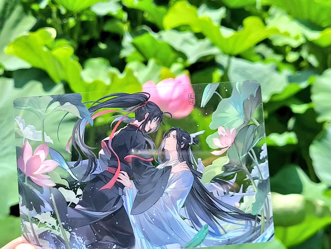 蓮を見てきました 