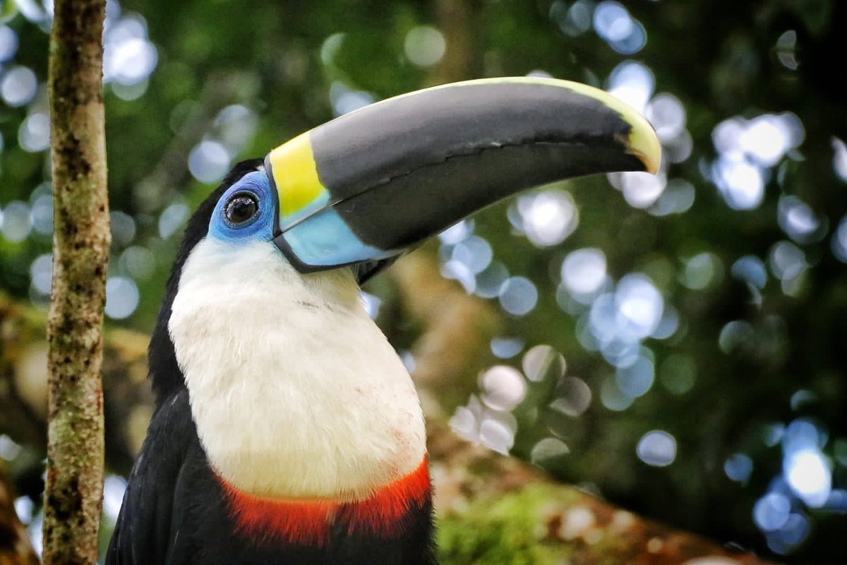GobMeta's tweet photo. La Macarena es sinónimo de naturaleza, vida y ecoturismo.

A través del lente de periodistas nacionales e internacionales; le estamos mostrando al mundo las riquezas naturales de nuestro Dpto. https://t.co/IOYmn3FTzW
