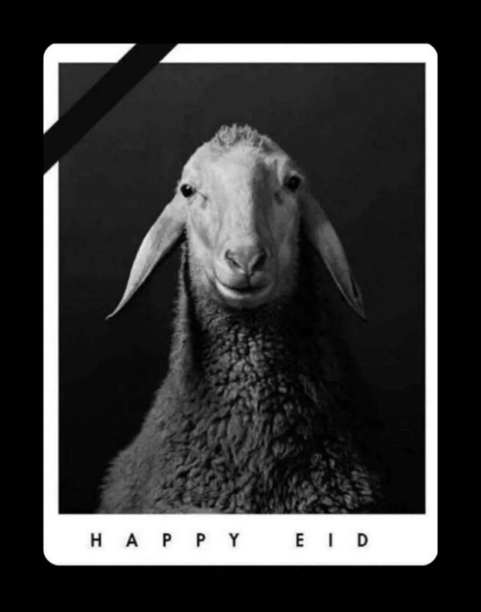 دُمتم لي أعياداً لا أفقِدُها .. ودامت لكُم سعادة الكونِ بأكملها ..تقبل الله منا ومنكم صالح الأعمال وكُل عام وأنتم بخير..
 عيدكم مبارك ❤️

اخوكم / ماجد بشير الشمري