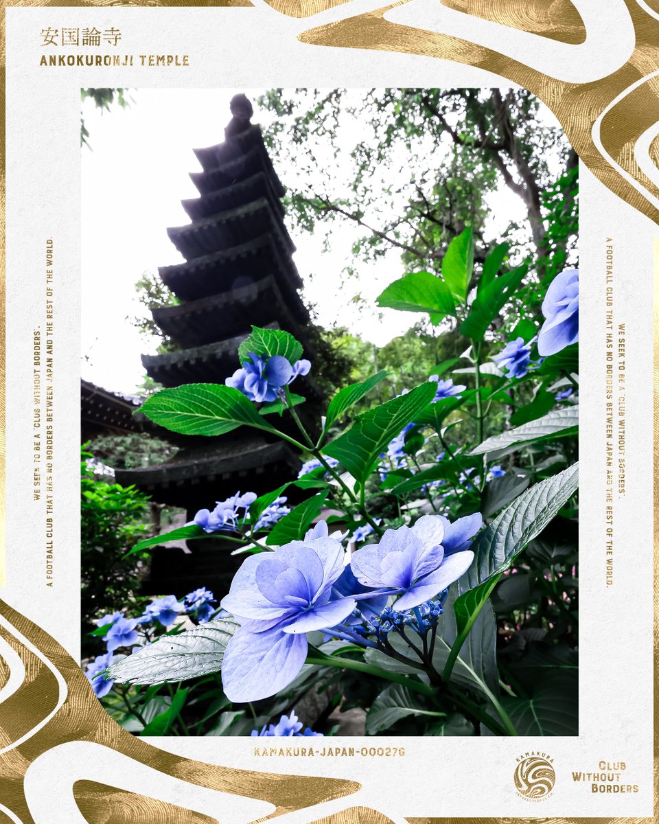 kamakura_inter's tweet photo. #NFT コンテンツ「#鎌倉 デジタルコレクション」、紫陽花シリーズ「安国論寺」のゴールド版が登場🎉

限定1枚、FiNANCiE @financie_jp 鎌倉インテルトークンゴールドラウンジ（2,000トークン以上保有者）限定でご購入いただけます！

👉詳細はこちら
https://t.co/a2836geTZp https://t.co/2YXb4SMKMQ
