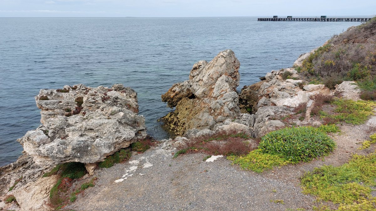 pfwaus's tweet photo. On the #historic 1873 jetty at #Edithburgh on the Yorke Peninsula limestone coast of #SouthAustralia #Australia https://t.co/IhfBe3q6C8