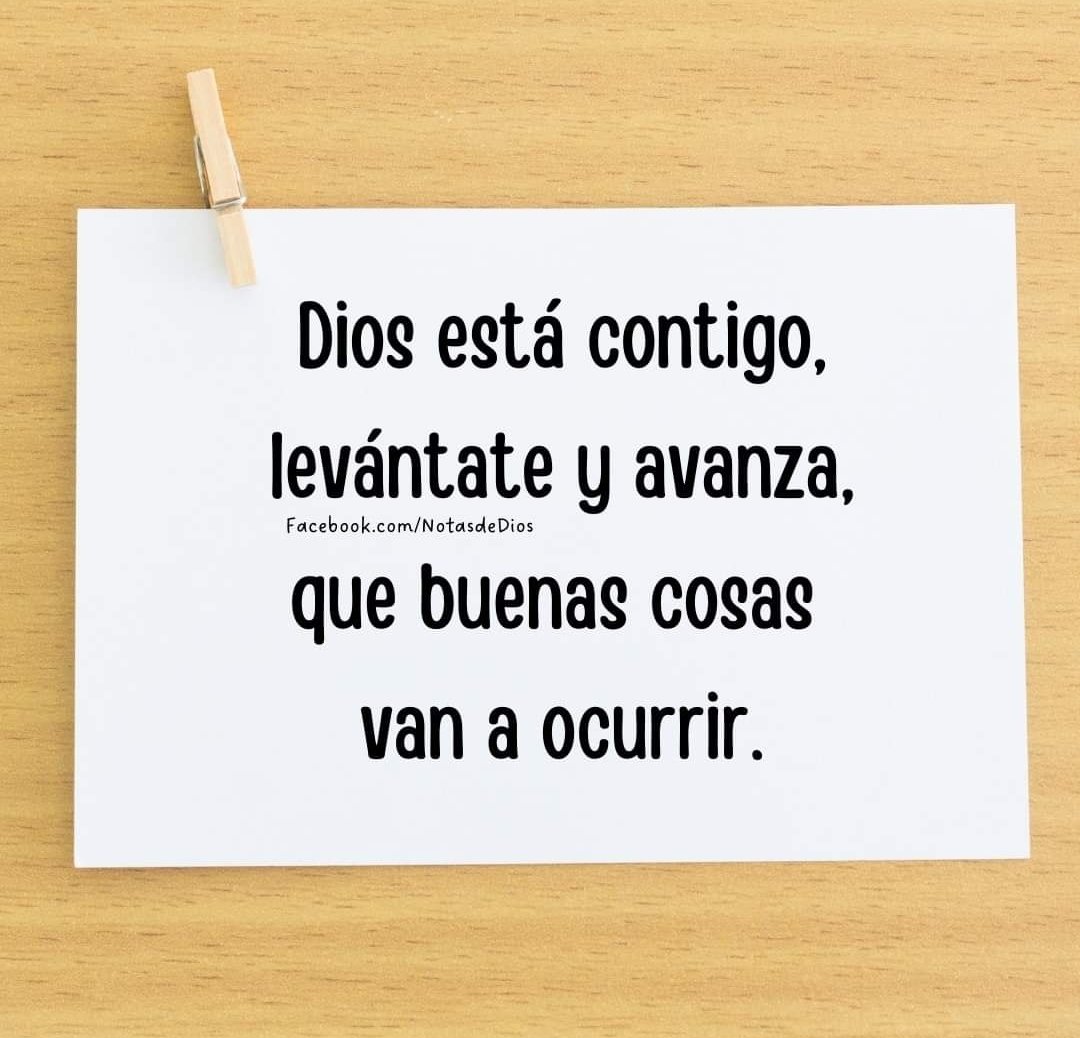 lasnotasdedios's tweet photo. Ánimo, Dios trae nuevas y mejores cosas a tu vida.
#notasdeDios https://t.co/kTMLV20Q9P