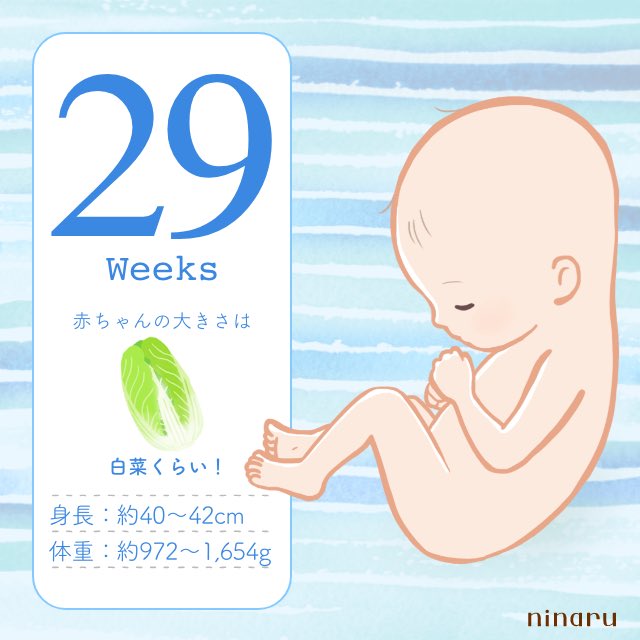 تويتر 脱毛症 البحث في تويتر تويتر 脱毛症 البحث في تويتر