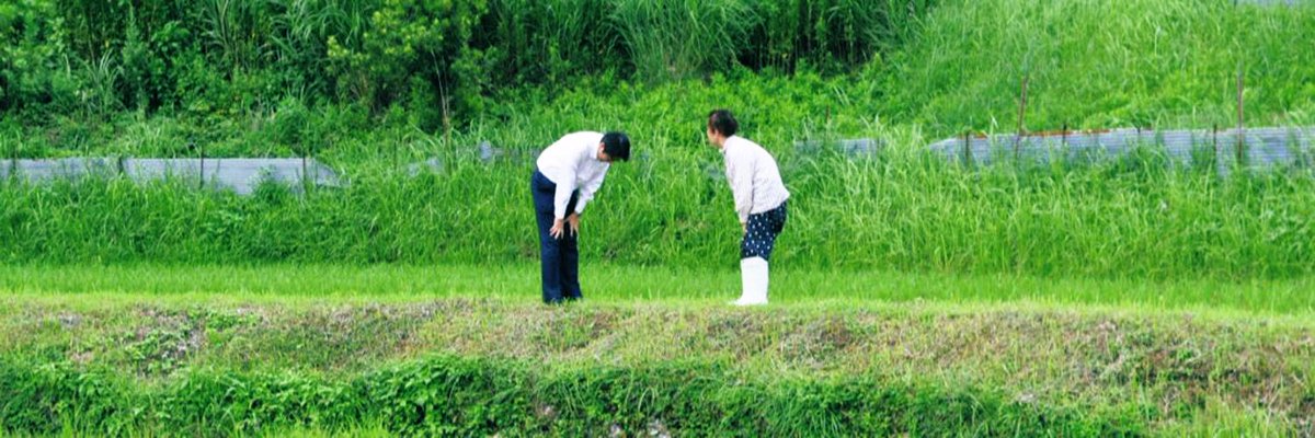 BIll GUAN tweet media