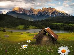 QHatmar's tweet photo. Not sure why you want to go, that's the reason to go.#GoFirst https://t.co/5yvuTWIMhw