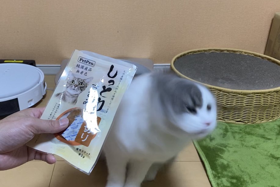 Follow ねこおでん S Neko Oden123 Latest Tweets Twitter