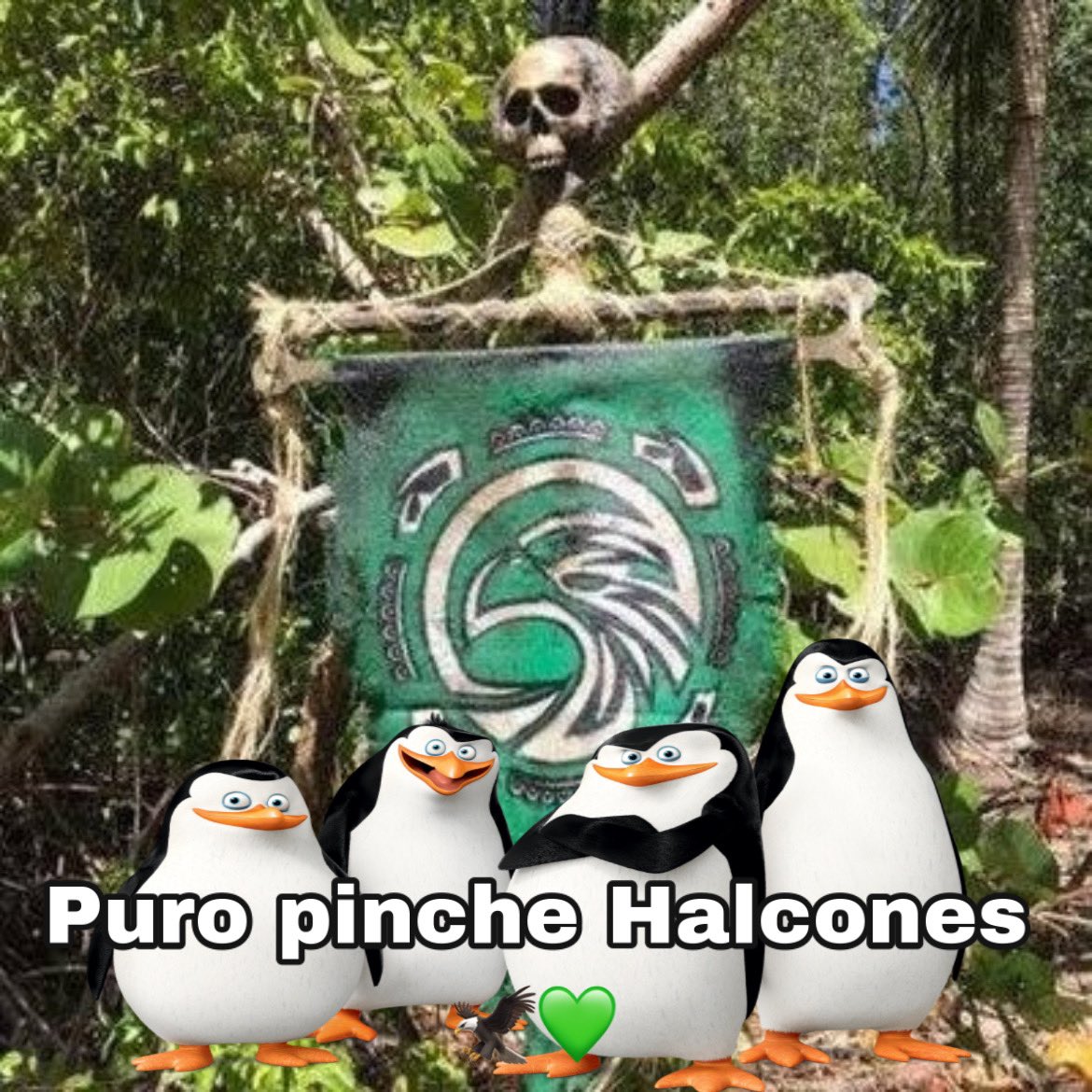 Tqm Christian y a los halcones invictos en esta semana 🔥💚

#AdiósEnSurvivor