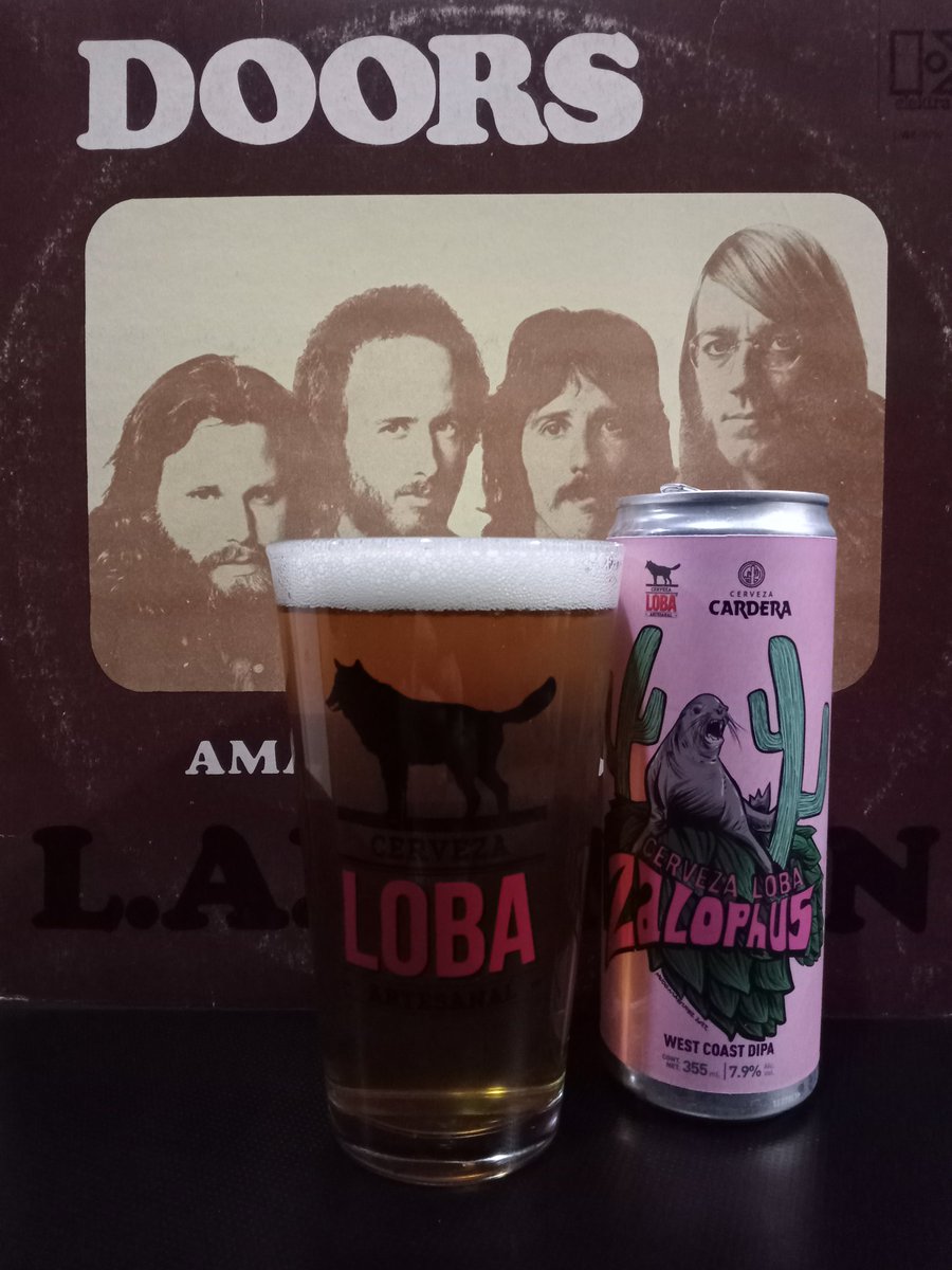 FCervisia's tweet photo. Va el #CebadaYVinyl con la ZALOPhUS de @CervezaLoba y #Cardera una interesante y frutal WC DIPA con 7.9% De fondo el gran L.A. Woman 1971 de @TheDoors
#friguscervisia #beer #craftbeer #cerveza #vinylrecords #VinylCollector @CebadaMalteada #beertime #BrothelHB #Viernes https://t.co/jszNvT0AeF