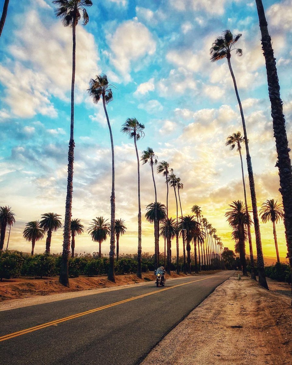 Heading into the weekend like.... #ILoveRiverside 🏍️

📸: @secondhandlight