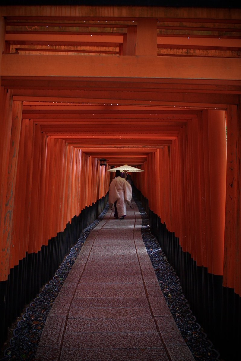 chitaka45's tweet photo. 伏見稲荷大社　神主朝拝
Fushimi Inari Taisha shrine,
morning worship by the Shinto priest #kyoto #fushimiinari #京都　#伏見稲荷大社　#そうだ京都行こう https://t.co/SZalYlSLlU