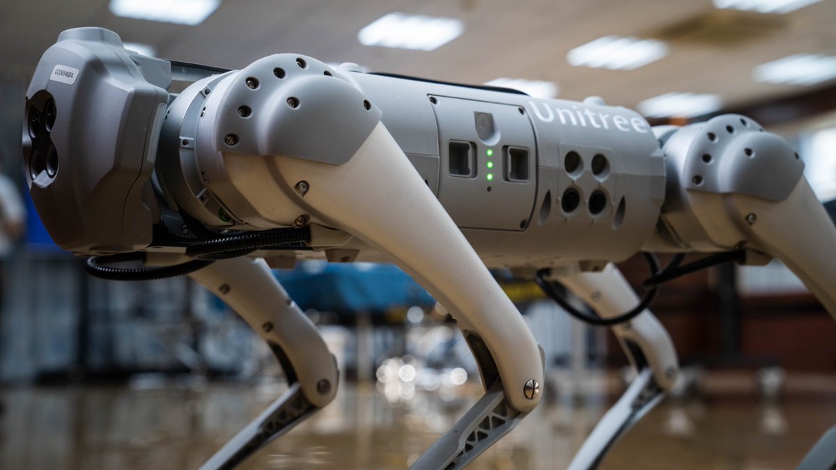 portcoast's tweet photo. The new robotic dog Unitree Go 1 has just arrived at Portcoast's doorstep.  Let's see how this dog is used in the equipment ecosystem at Portcoast. https://t.co/f2UrdFmKCz
