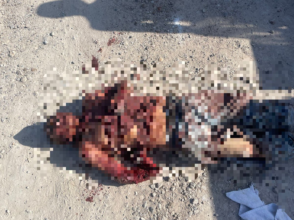 metrofox1's tweet photo. #PiedrasNegras
Mario Alberto Monsivais de 59 años de edad, pierde la vida al ser atacado por 4  perros pitbull  en la calle Paseo de las Rosas, de la  colonia Lomas de Santiago.

Miguel N de 62 años y  Concepción N de 48 años,  propietarios de los perros, fueron   detenidos. https://t.co/Emi8ijW9Xq