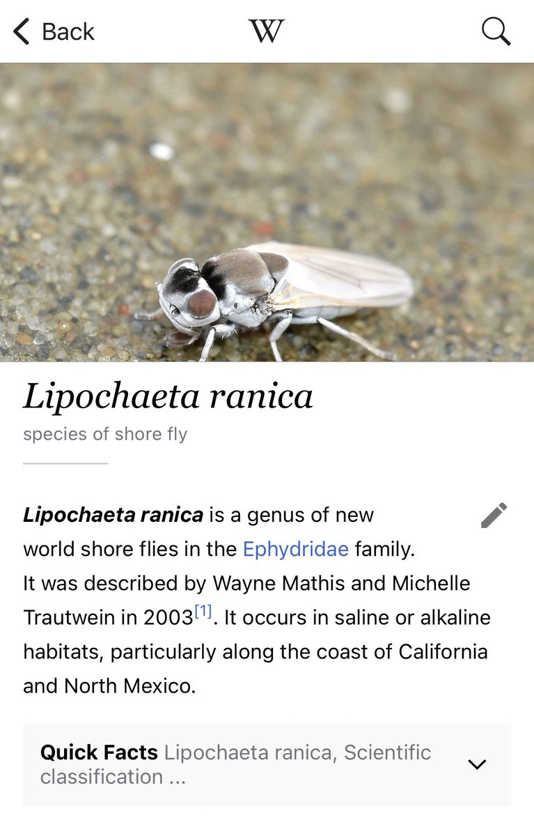 VisibleNature tweet media