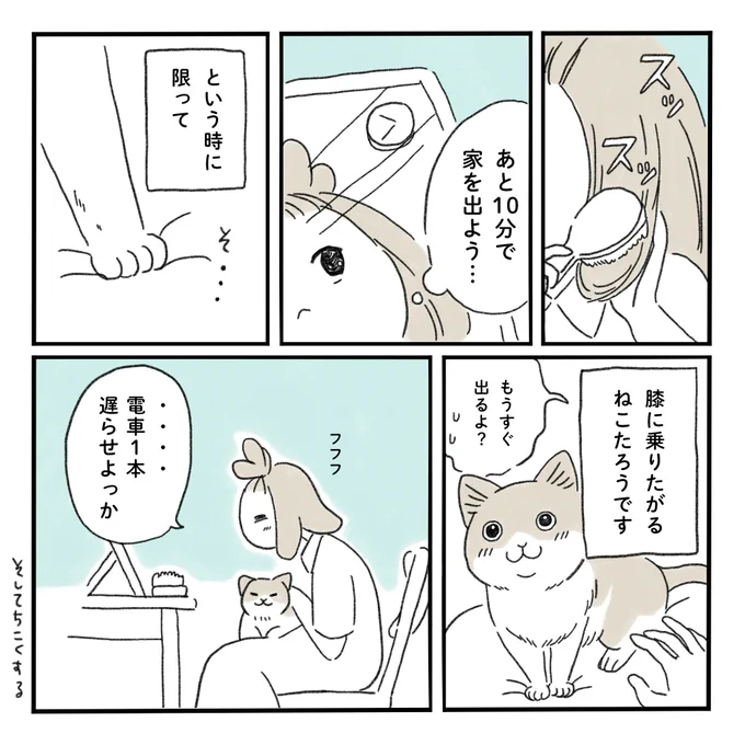 わたしが遅刻してしまう理由を白状します。#みちこの日記 #猫のいる暮らし 