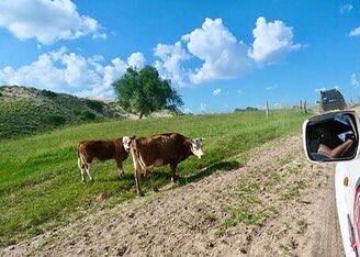 Isabella 🇺🇸 tweet media