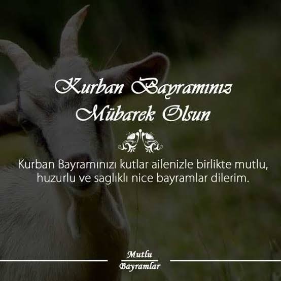 Murat (@murat83944651) on Twitter photo 