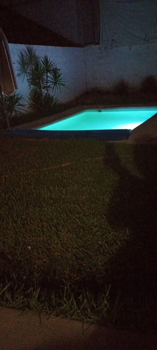 Claudia bi tweet media