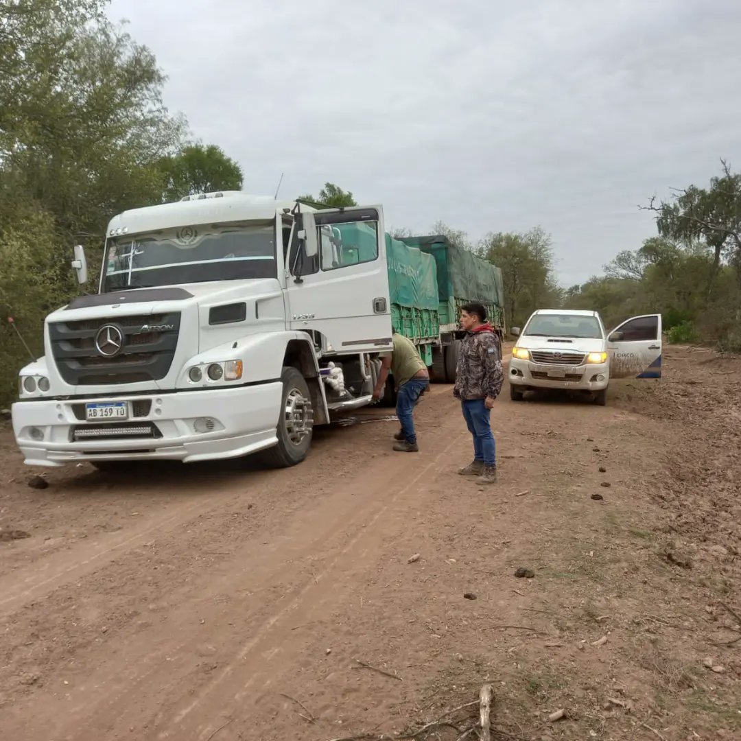 Dirección de Bosques tweet media