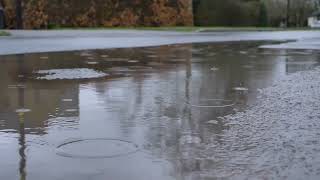 ambiencesound_'s tweet photo. 静かな街の優しい雨の音 3hoursをyoutubeにて公開しました☔
gentle rain sounds,3hours, relaxing movie on YouTube
https://t.co/h0w3ow6PMr
#rain #rainsounds #ambiencesound #環境音 #雨の音 #雨 #リラックス #ASMR #YouTube #自然音 #雨が好き #雨好きとつながりたい https://t.co/zQdIVeTJ5f https://t.co/ISSE9NyEw4