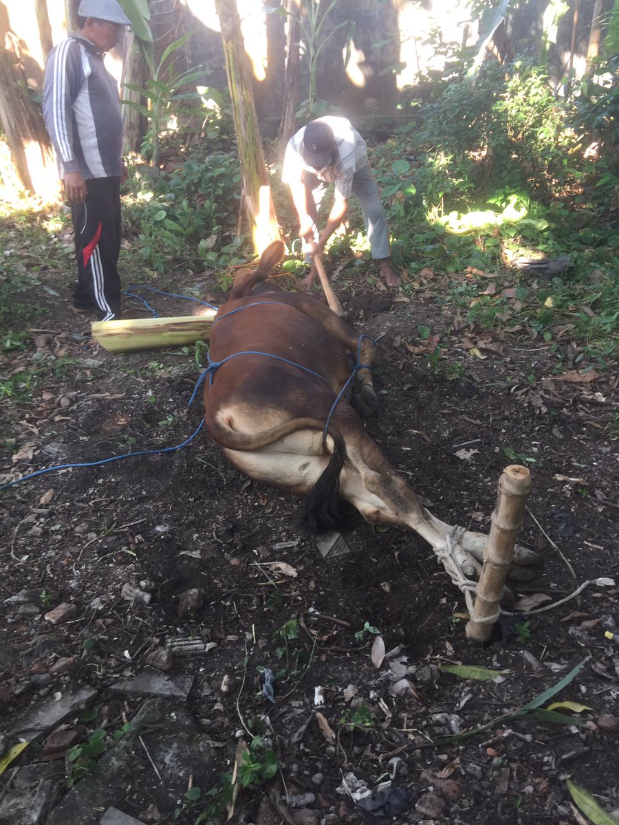 Jamaah di lingkungan