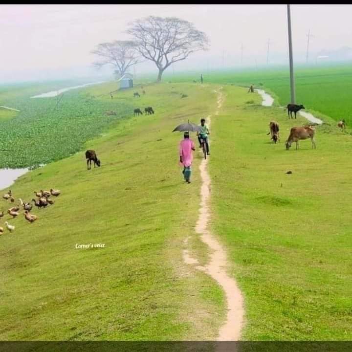 ABDULKALAM8920's tweet photo. जिम्मेदारियों के बोझ तले तेरी गिरप्त में हू�� ऐ शहर

वरना मेरे गांव के खेत भी तुझसे ज्यादा सुकून देते हैं! https://t.co/23yqn7z9lH