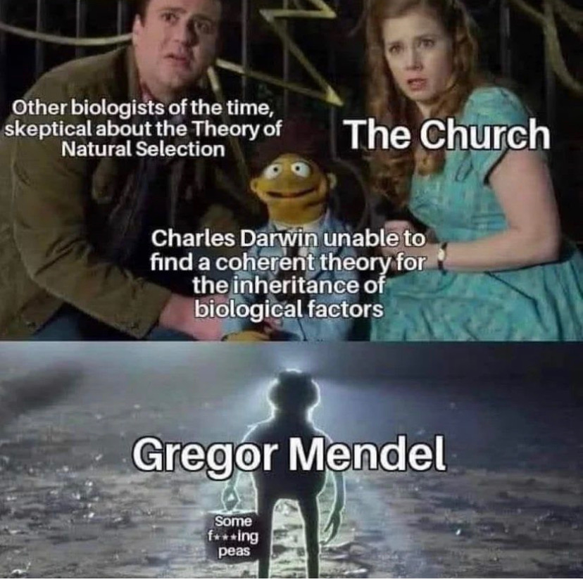 I don't know who did this, but I love it.