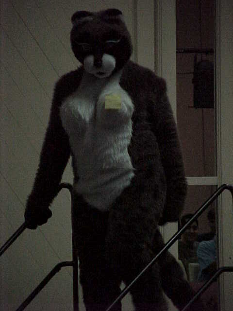 Furry Archive tweet media