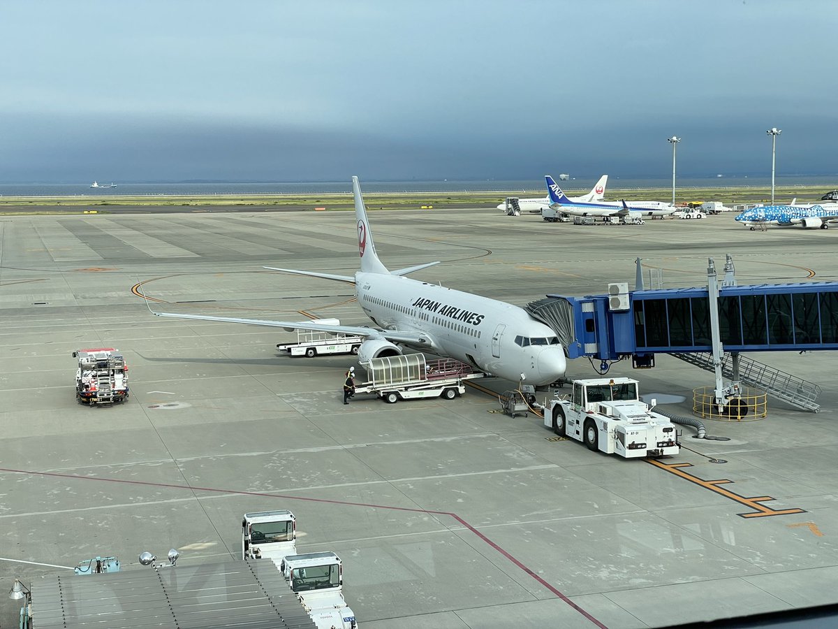 YuruttoAir's tweet photo. チケット買った時は77Wだった気がするけど、737で羽田まで

国際線機材便って、世の中的には当たり機材なのか、ハズレ機材なのかどちらなのですか？？ https://t.co/NFENNSg2lz