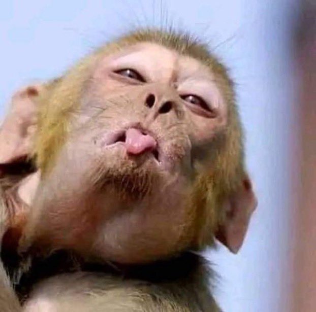 Please PO supporters let’s not be cruel to non-PO supporters. Be tolerant. 

You will never see me bully anyone here for their choice except they deliberately come and enter my TL then I give them “Ntoi”.