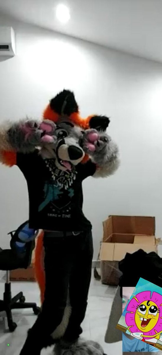 tinyproto's tweet photo. The quality is a bit rough because we were on a call, but my SO helped me get some more cute pics >u< #fursuit #furry #FursuitFriday https://t.co/JxHEHd24Jj