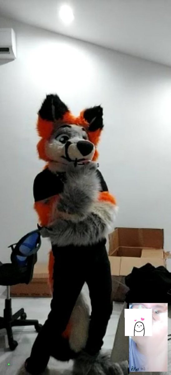 tinyproto's tweet photo. The quality is a bit rough because we were on a call, but my SO helped me get some more cute pics >u< #fursuit #furry #FursuitFriday https://t.co/JxHEHd24Jj