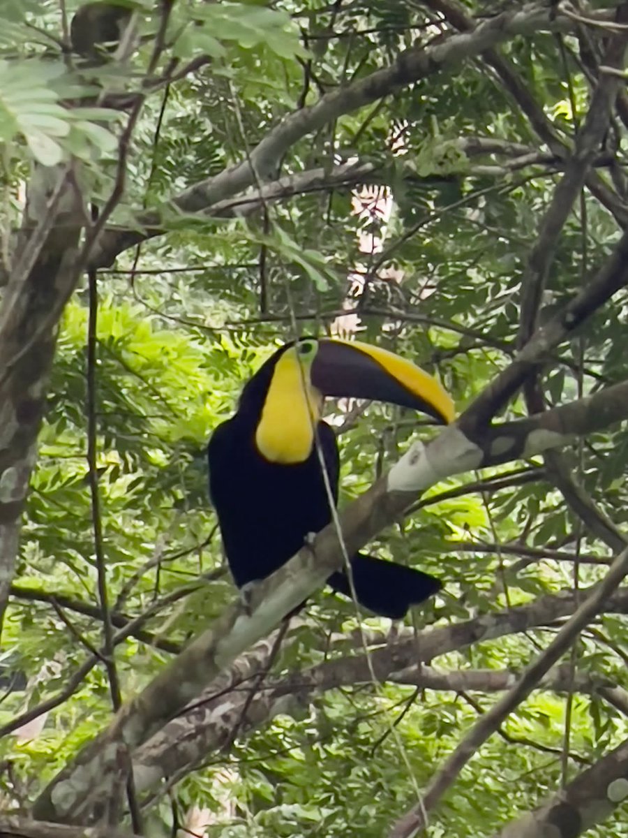 The time we have spent in the Central Pacific Coast has been nothing short of magical!  #ItsWorthIt #PuraVida ❤️🇨🇷❤️