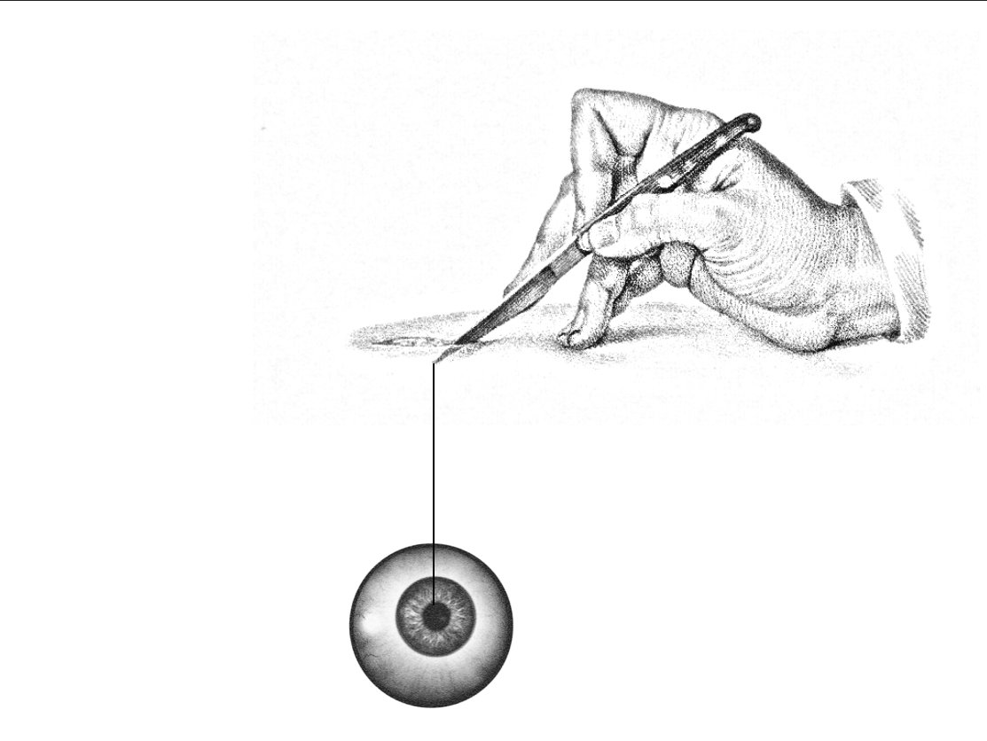 felipunk1's tweet photo. Choices make you.
Tus elecciones te definen.
#posthumanism #digitalshamanism https://t.co/7MjSWk7iaw