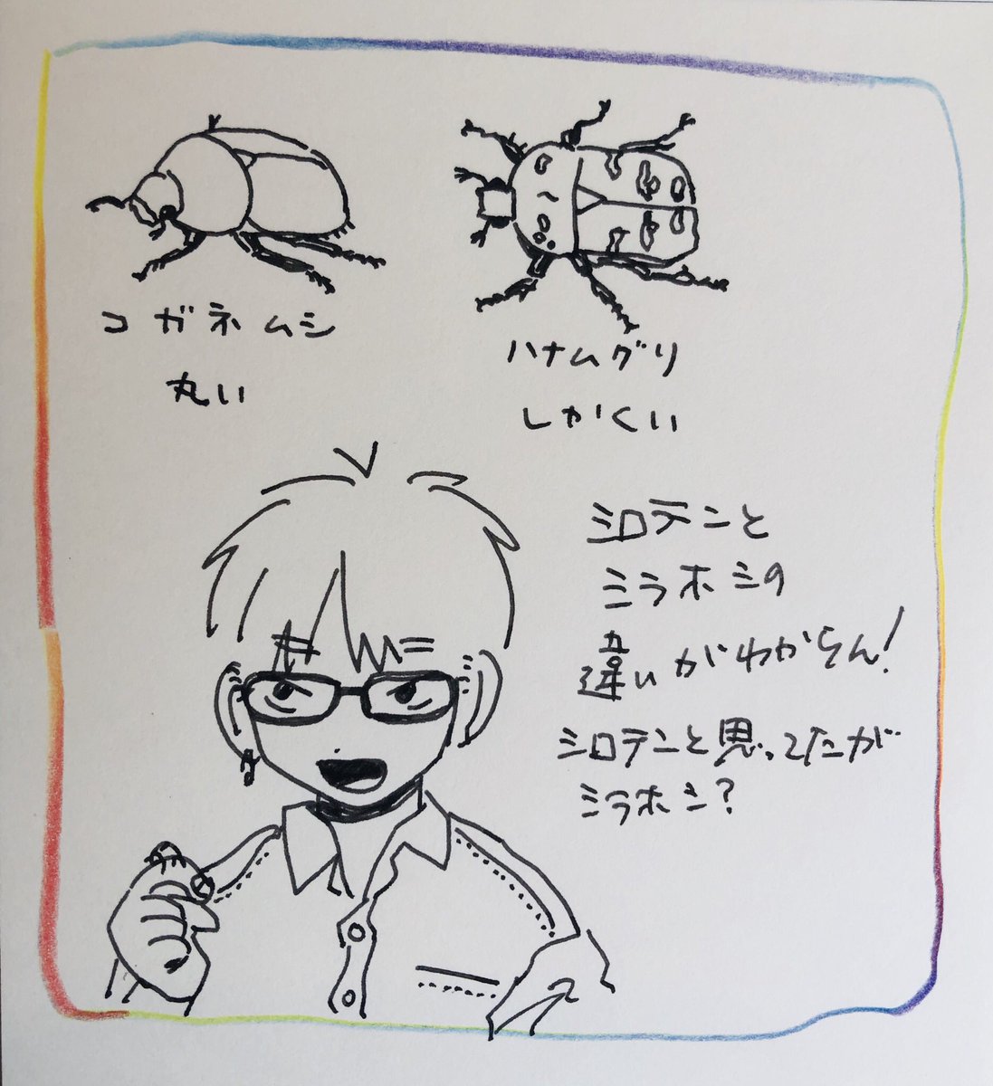 ハナムグリ難しい これはシラホシか? 